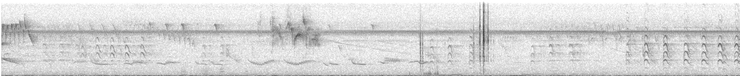 マメワリ - ML629370079