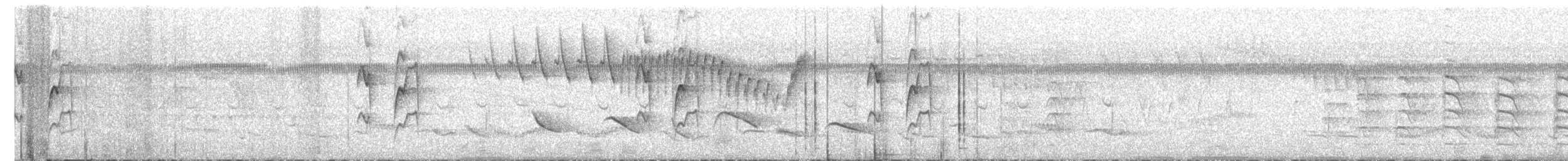 ハイビタイカマドドリ - ML629370118