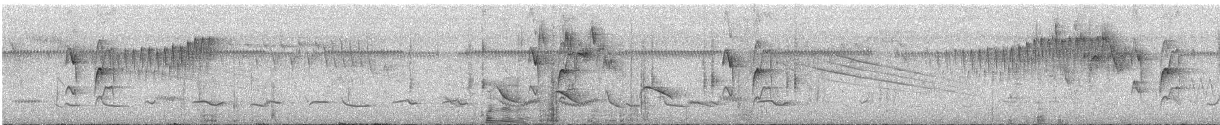 ミナミアサギアメリカムシクイ - ML629370195