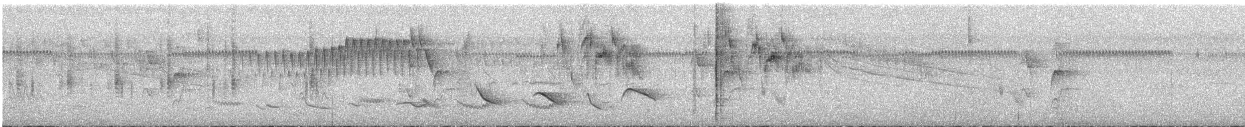 オリーブイカル - ML629370279