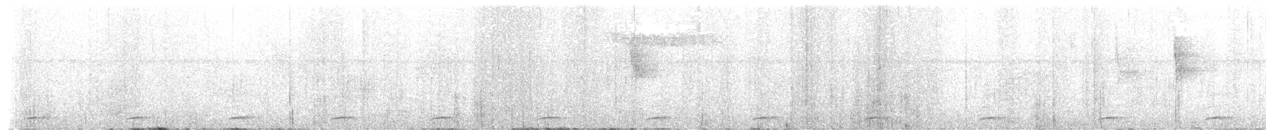 Tody Motmot - ML629371302
