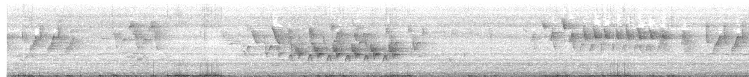 kentuckyparula - ML629382803