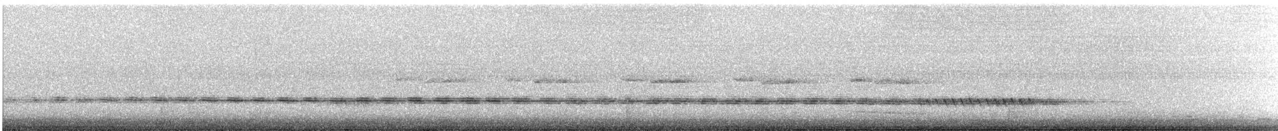 Sahul Cicadabird - ML629390632