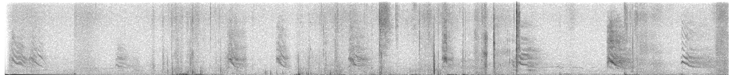 Gracchio corallino [gruppo pyrrhocorax] - ML629391662