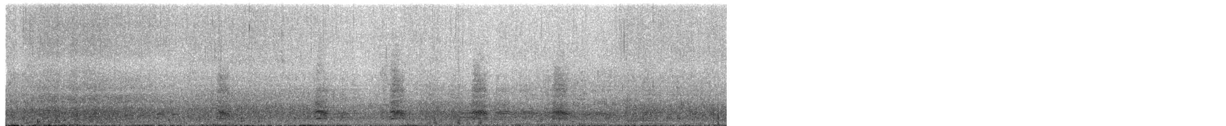 Anser sp. - ML629392771