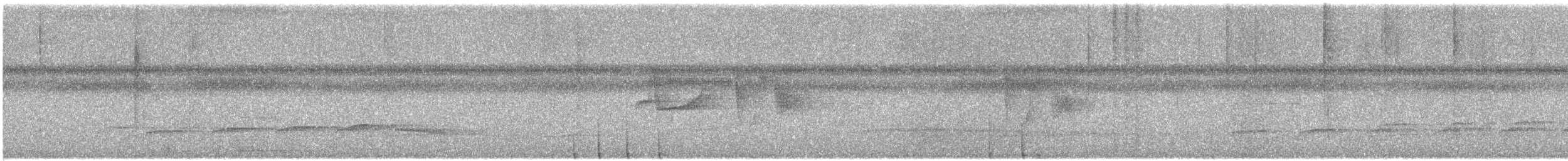 Citron-bellied Attila - ML629394541