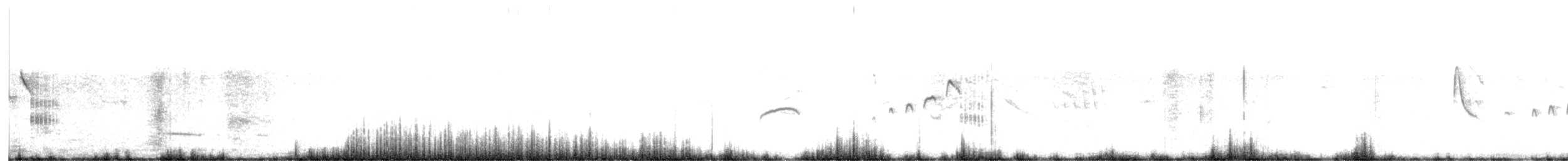 Bearded Tachuri - ML629396403