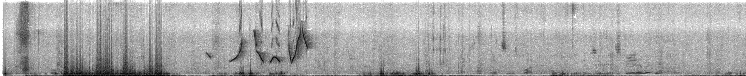 White-winged Black-Tyrant - ML629396875