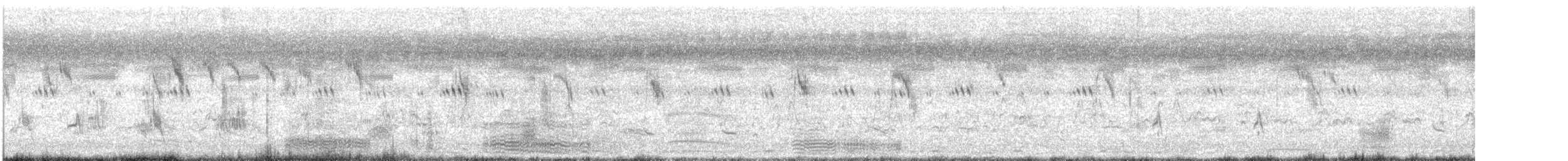 Western Reef-Heron - ML629399433