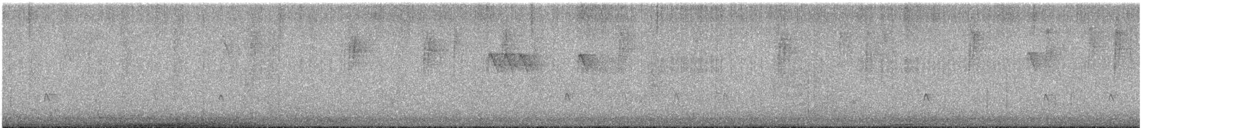 Greater Pewee - ML629399653