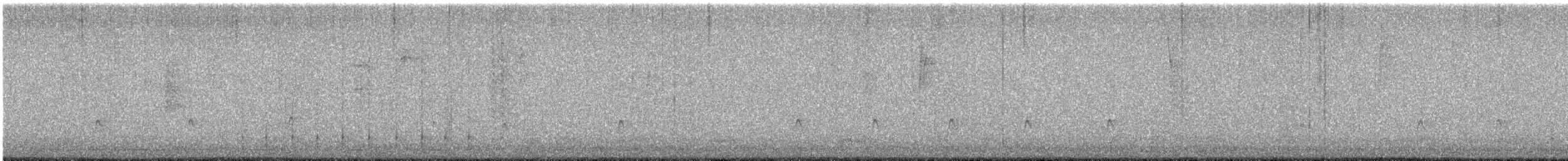 Greater Pewee - ML629399654