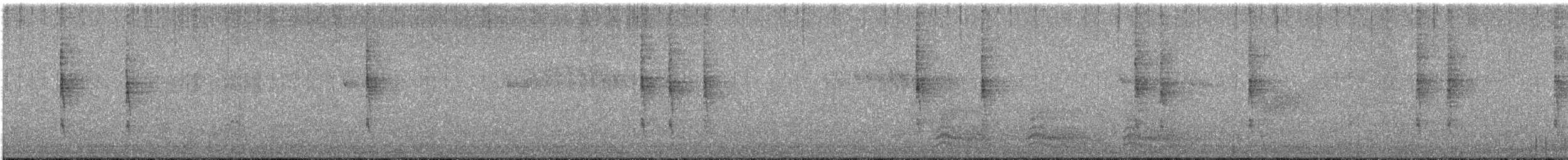 Pacific Wren - ML629399700