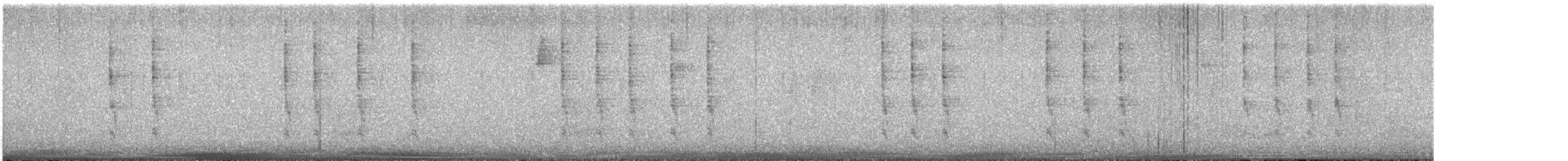 Pacific Wren - ML629399707