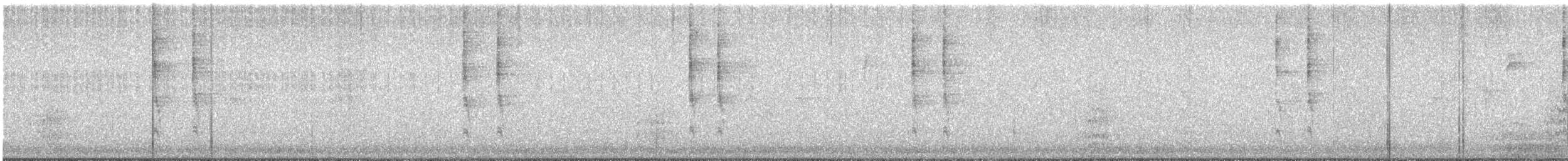 Pacific Wren - ML629399708