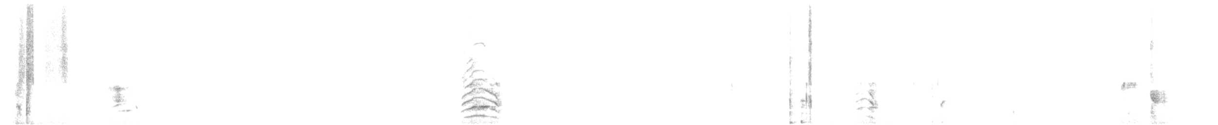 Malabar Gray Hornbill - ML629400841