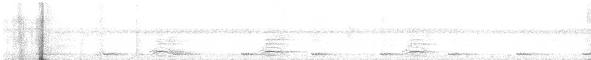 Malabar Gray Hornbill - ML629400928