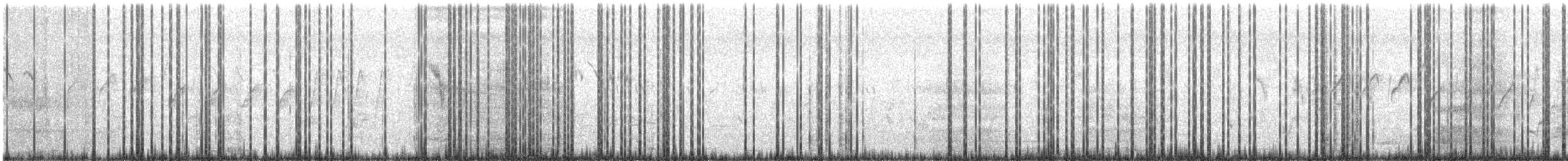 Western/Eastern Yellow Wagtail - ML629401972