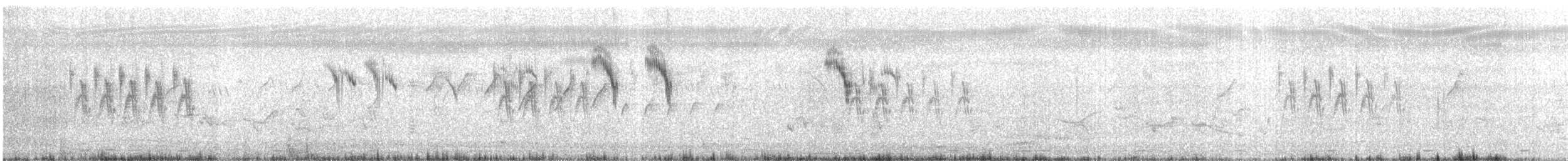 Paddyfield Pipit - ML629401979