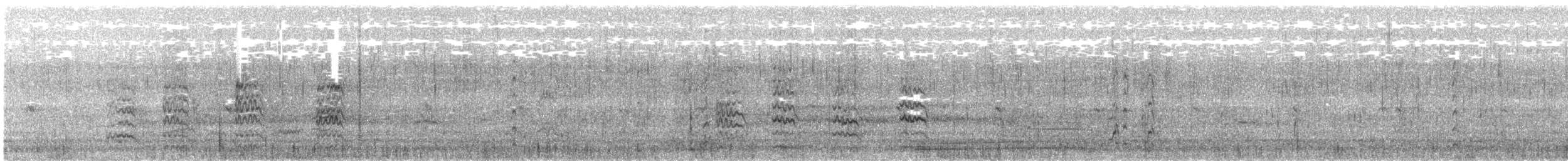 Hudsonian Godwit - ML629404089