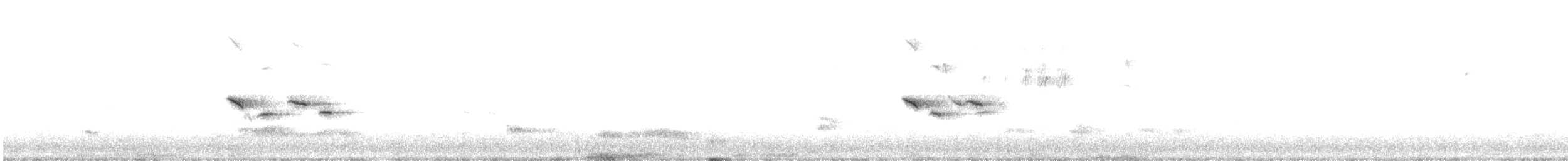 ירגזי מצוי - ML629405109