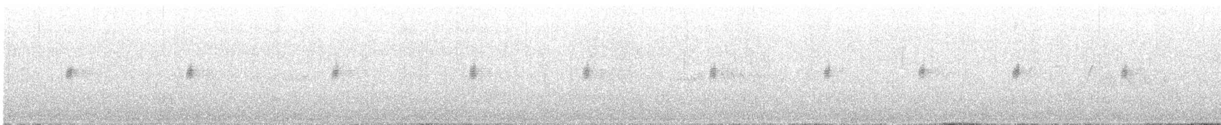 White-throated Dipper - ML629428683
