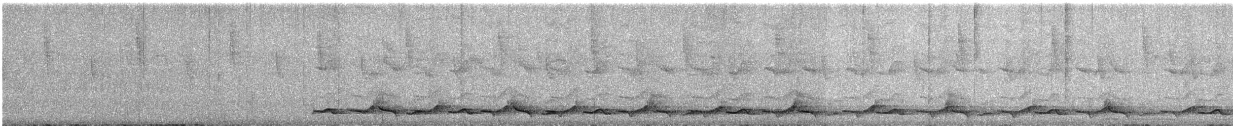 Spotted Wood-Quail - ML629429126