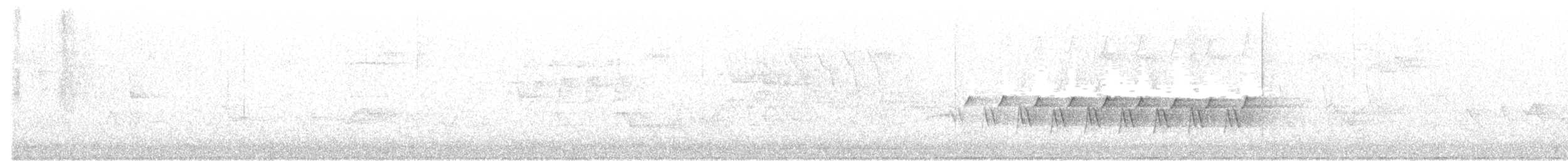 kentuckyparula - ML629431201
