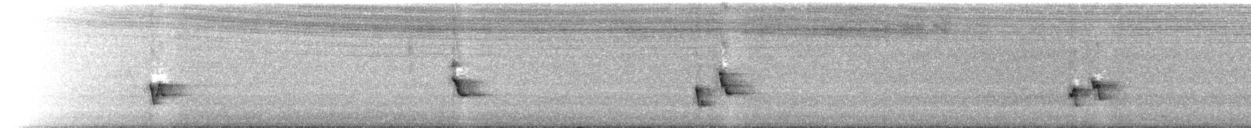 Souimanga murin - ML629451856