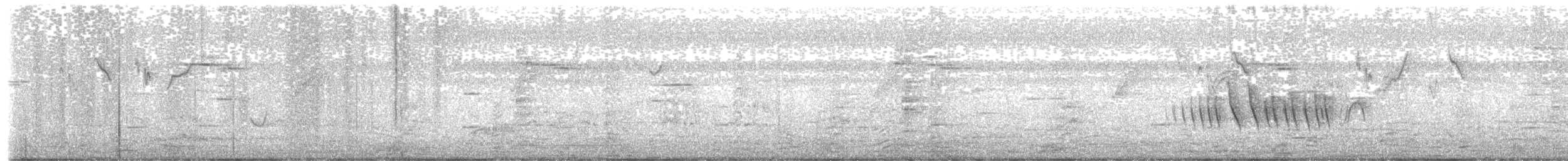Lined Seedeater - ML629455425