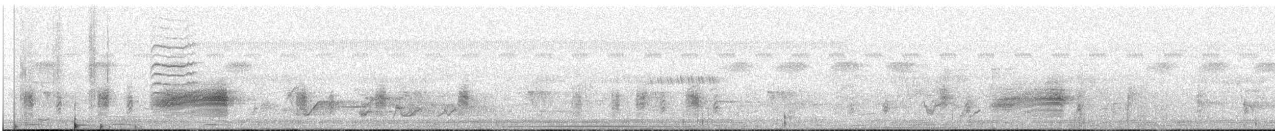 hvitvingepløsøye - ML629461775