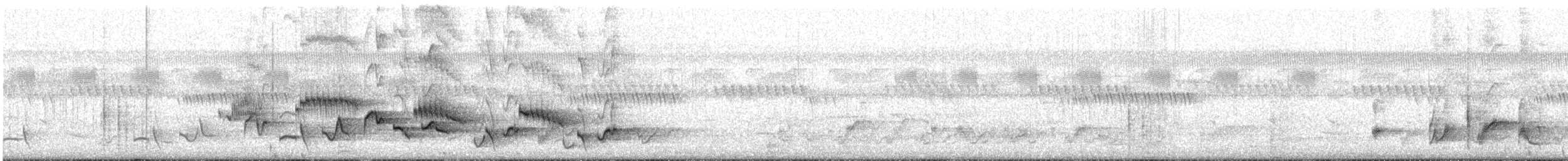 White-browed Robin-Chat - ML629462549