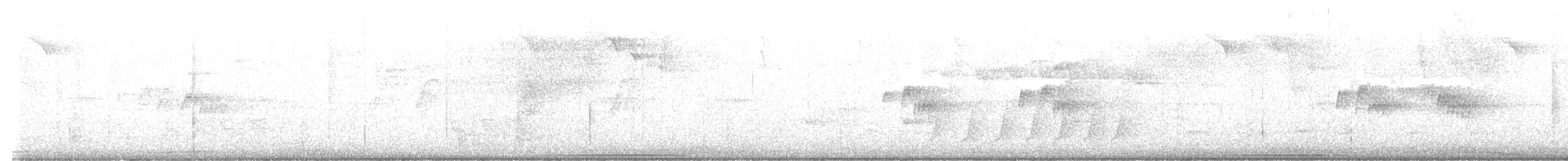 Colombe à joues blanches - ML629468512