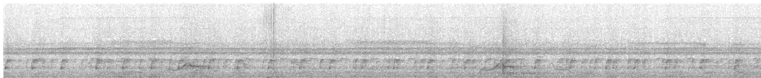 Common Pauraque - ML629473836