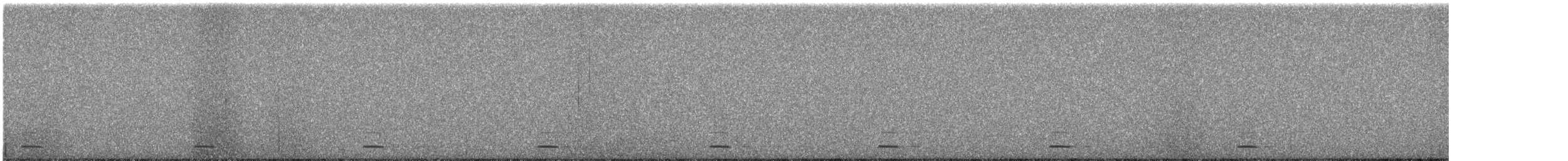 kulíšek mexický (ssp. pinicola) - ML629478778