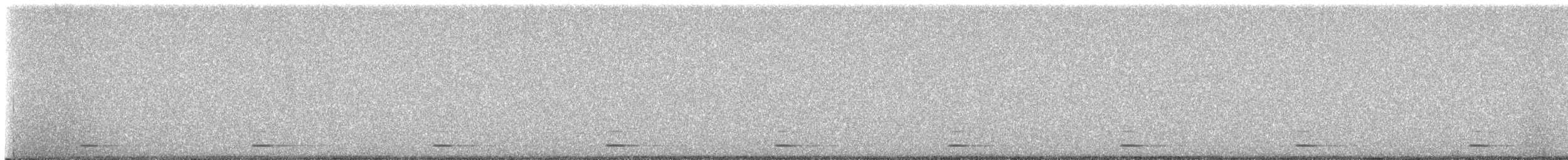 kulíšek mexický (ssp. pinicola) - ML629478780