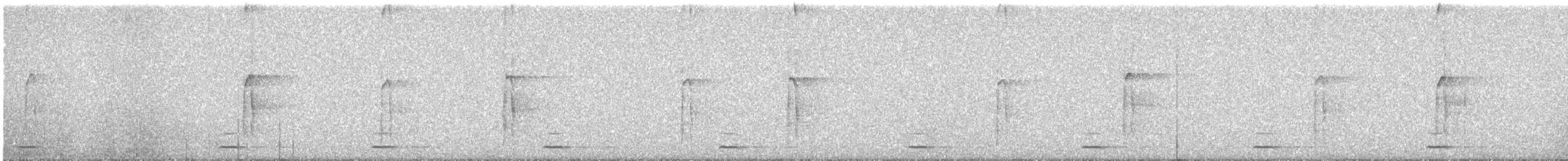 kulíšek mexický (ssp. pinicola) - ML629478955