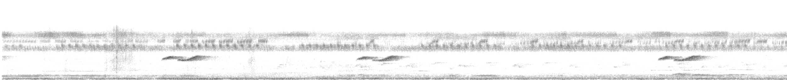 passerine sp. - ML629493578