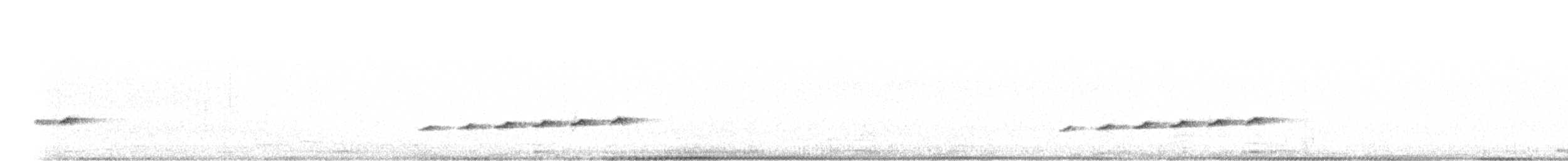 Square-tailed Drongo-Cuckoo - ML629493898