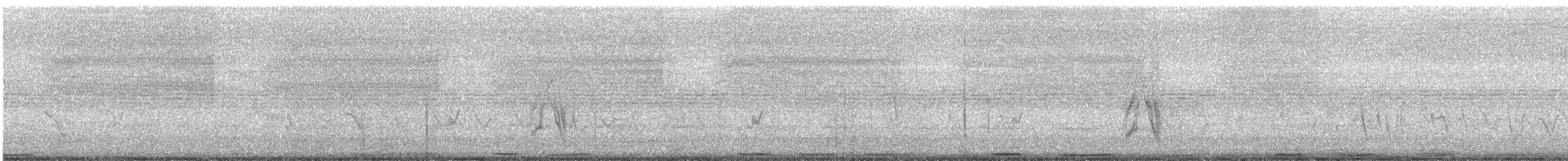 rypedue - ML629495994