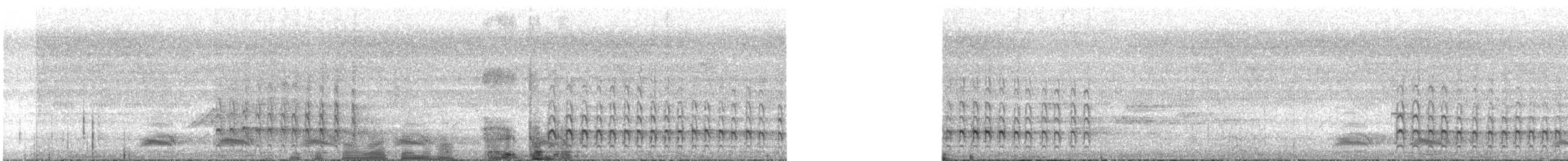 White-bellied Woodpecker - ML629497200