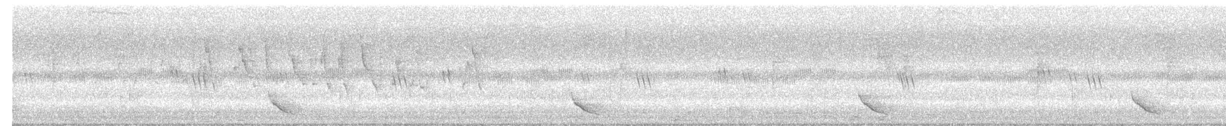 Black-hooded Oriole - ML629498244