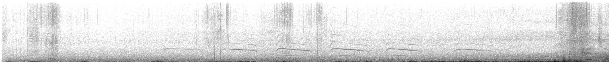 Red-shouldered Hawk - ML629498564