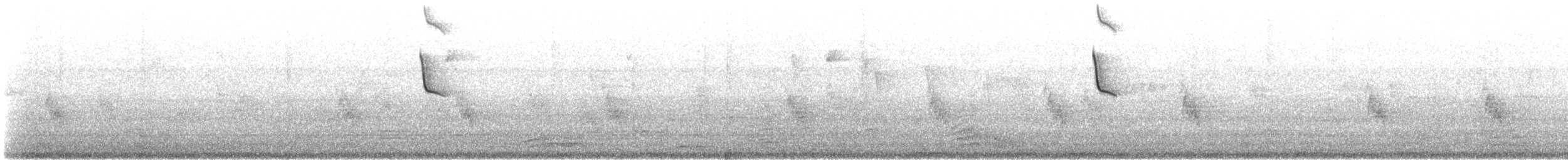 Colibri d'Angèle - ML629500113