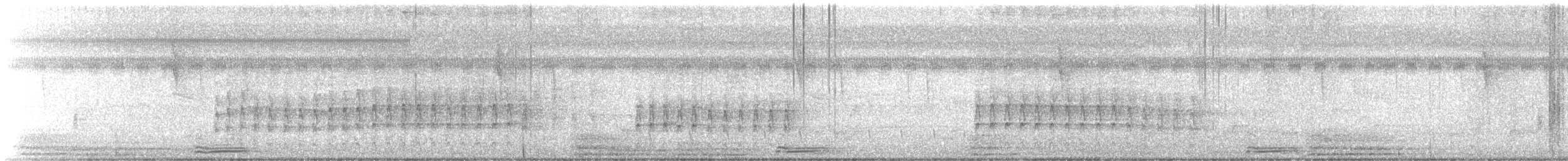 Hoffmann's Woodpecker - ML629501948