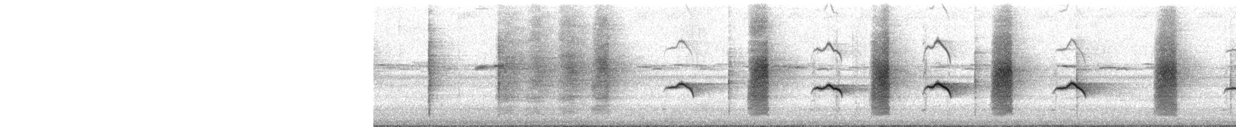 Ashy Drongo - ML629503613