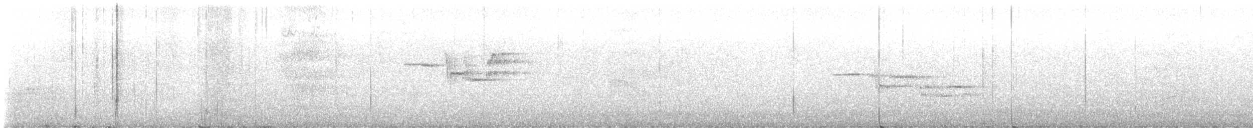 Black-billed Nightingale-Thrush - ML629504534