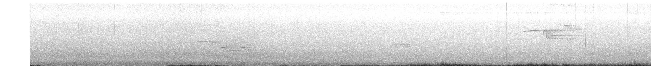 Black-billed Nightingale-Thrush - ML629504848