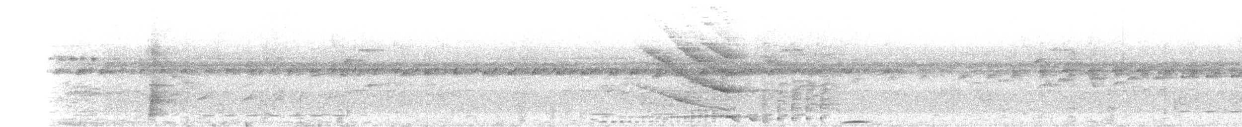 Whooping Motmot - ML629510251