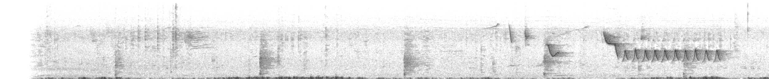 Tocuyo Sparrow - ML629511244