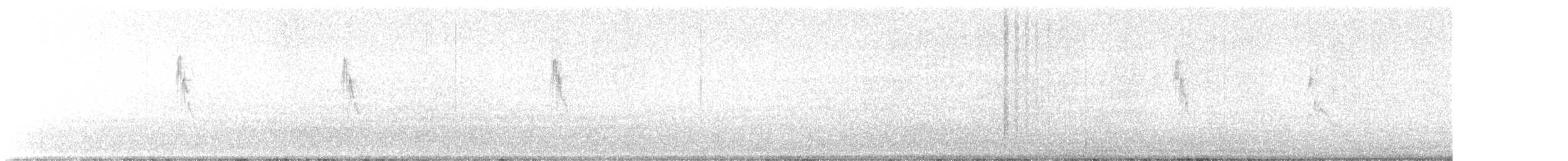 Berthelot's Pipit - ML629511984